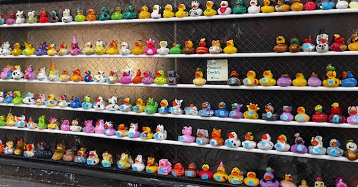 Quacktastic Book Taco Contest!